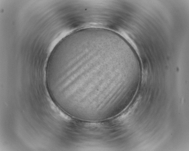 X0000088601341200706081343