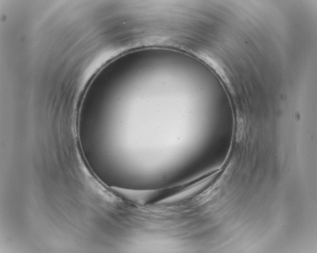 X0000088601342200706081343