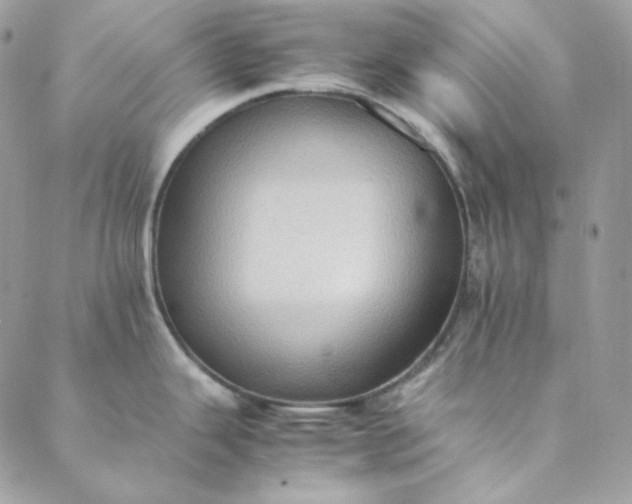 X0000088601343200706081343