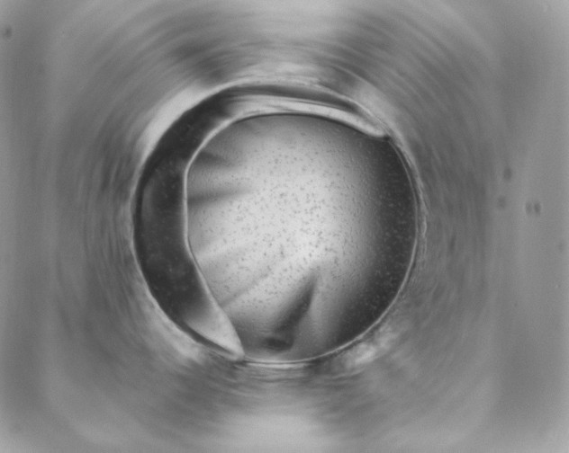 X0000088601344200706081343