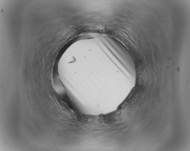 X0000088601345200706081342