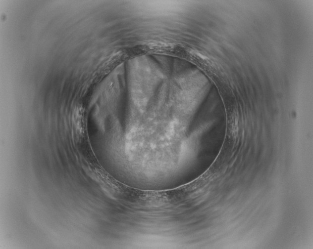 X0000088601346200706081342