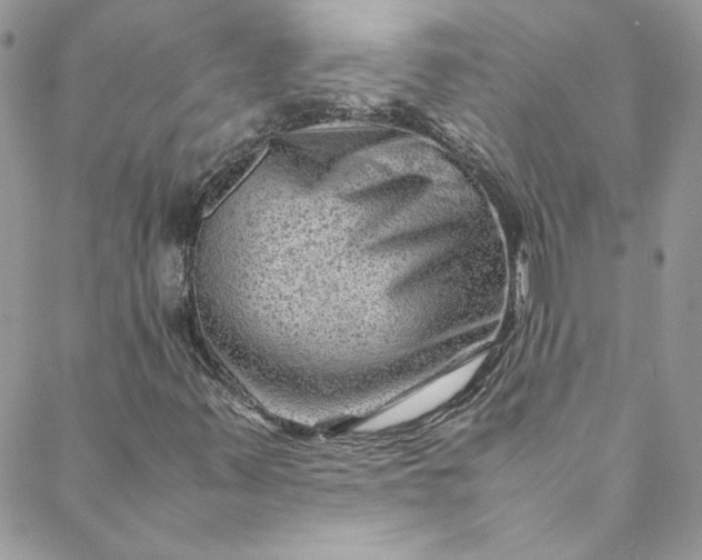 X0000088601347200706081342