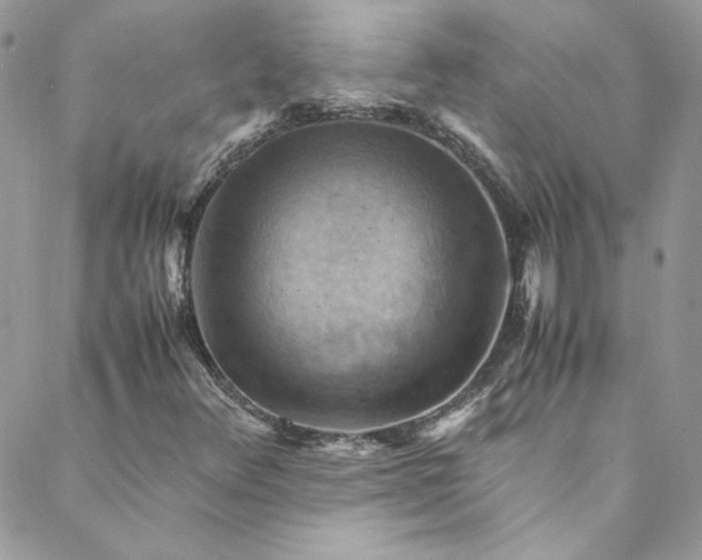 X0000088601348200706081342