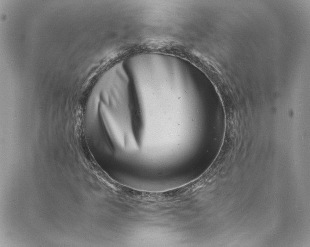 X0000088601349200706081342