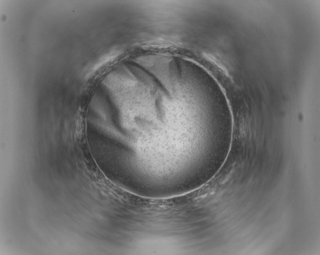 X0000088601350200706081342