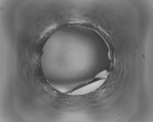 X0000088601351200706081342