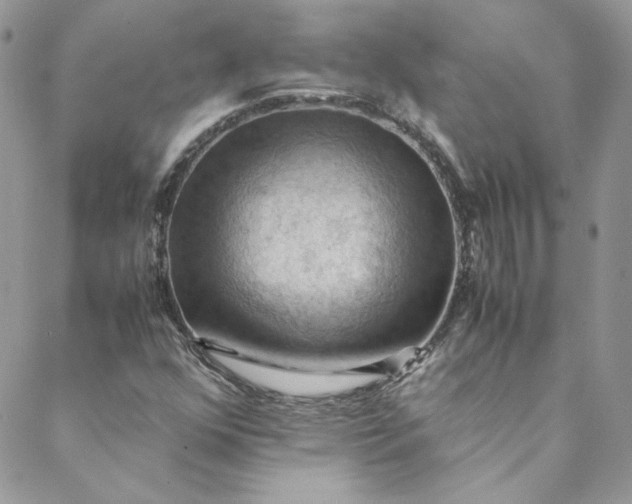 X0000088601352200706081342