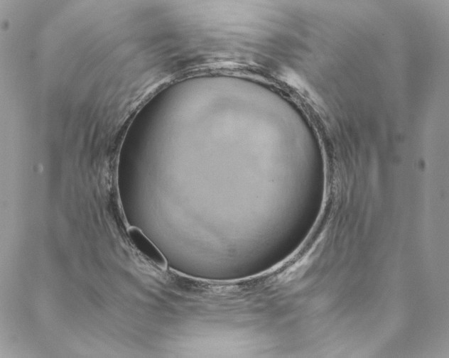 X0000088601353200706081342