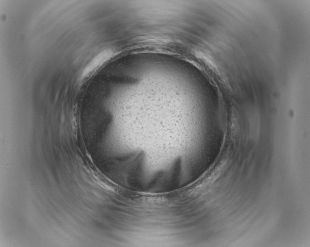 X0000088601354200706081342