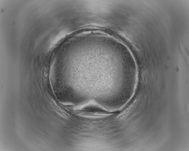 X0000088601355200706081342