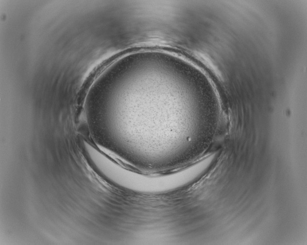 X0000088601356200706081342