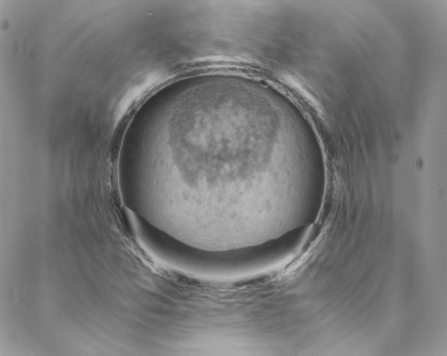 X0000088601357200706081342