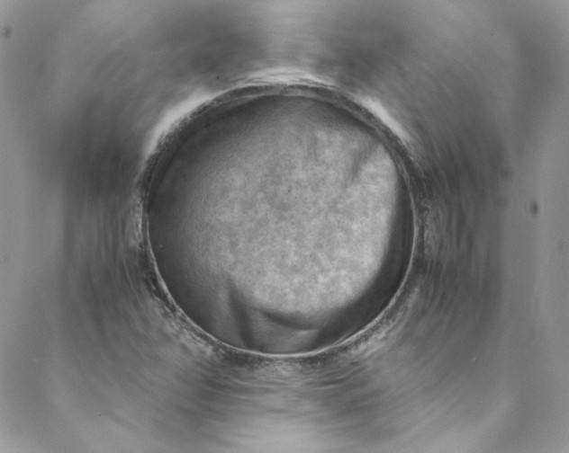 X0000088601358200706081342