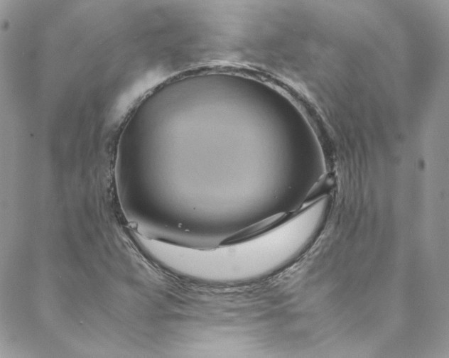 X0000088601359200706081342