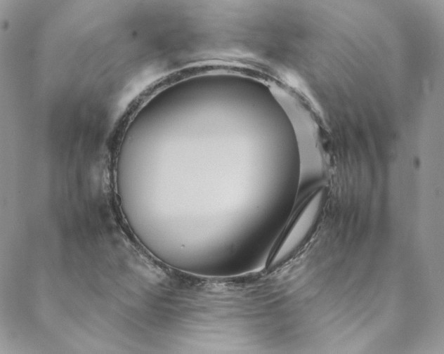 X0000088601360200706081342