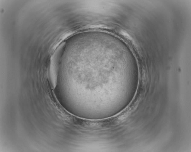 X0000088601361200706081342