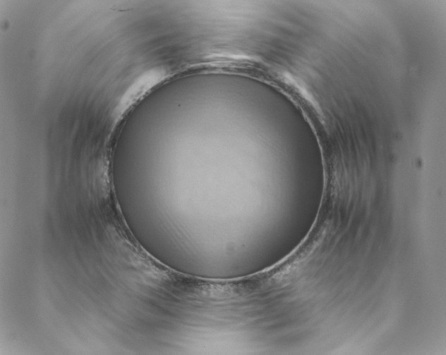 X0000088601362200706081342