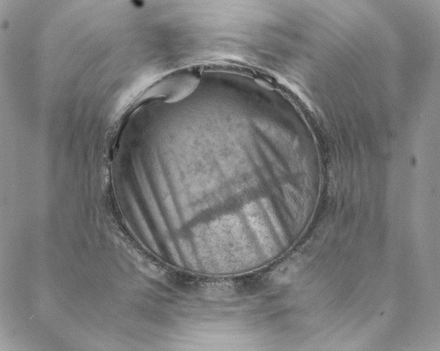 X0000088601363200706081342