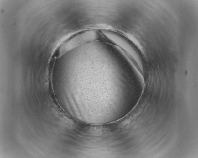 X0000088601364200706081342