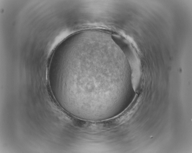 X0000088601365200706081342