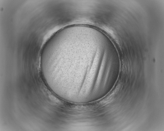 X0000088601366200706081342