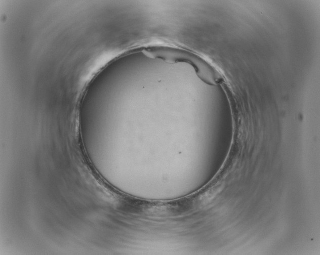 X0000088601367200706081342