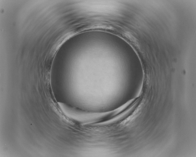 X0000088601369200706081342