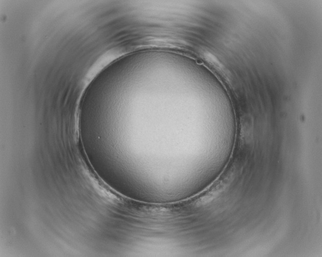 X0000088601370200706081342