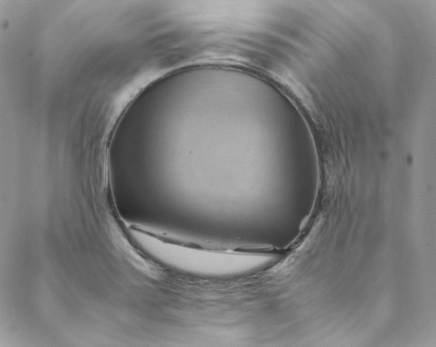 X0000088601371200706081342