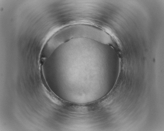 X0000088601372200706081342