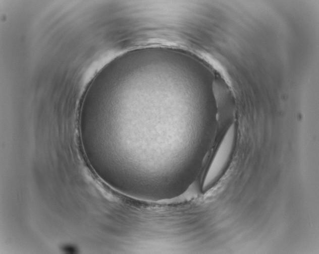 X0000088601373200706081342