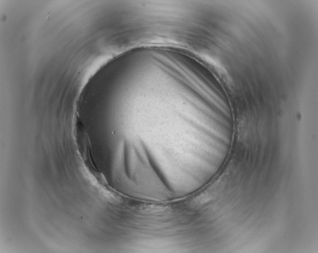 X0000088601374200706081342