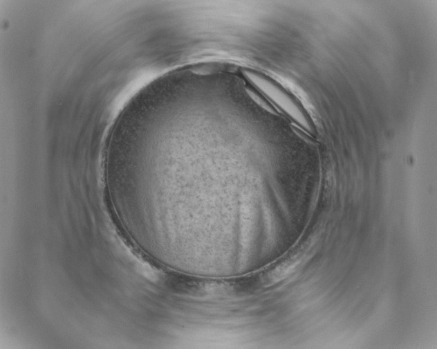 X0000088601375200706081342