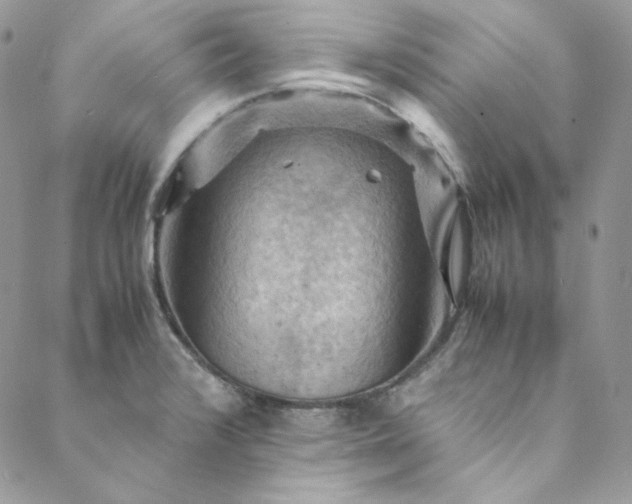 X0000088601376200706081342