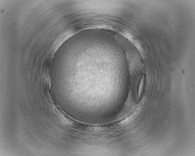 X0000088601377200706081342