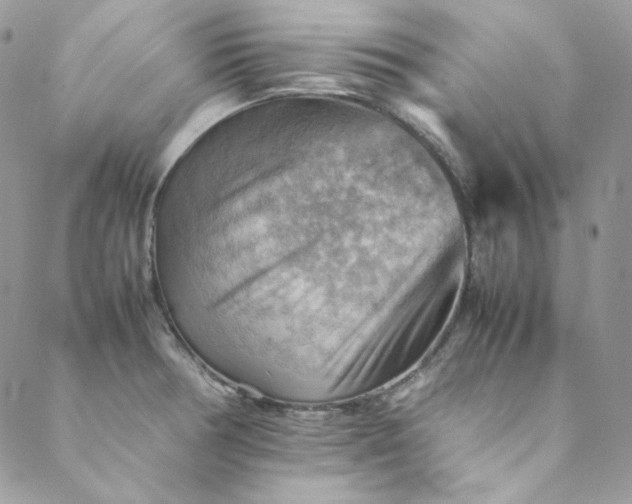 X0000088601378200706081342