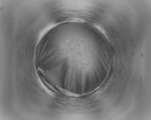 X0000088601379200706081342