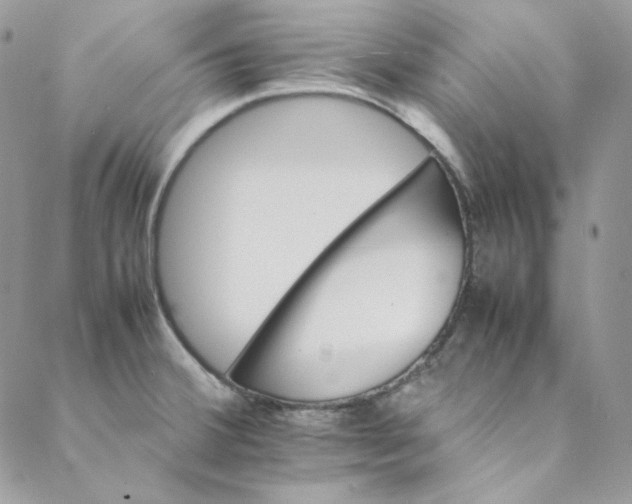 X0000088601380200706081342