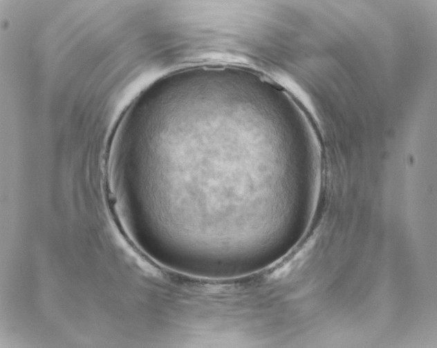 X0000088601381200706081342