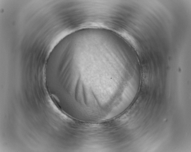 X0000088601382200706081342