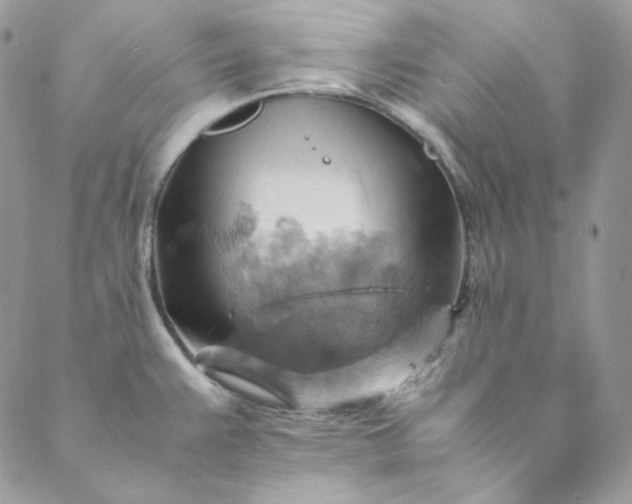 X0000088601383200706081342