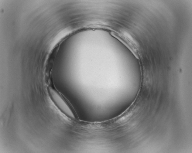 X0000088601384200706081342