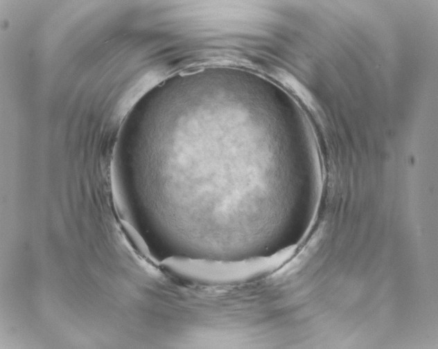 X0000088601385200706081342