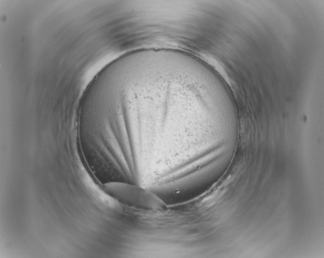 X0000088601387200706081342