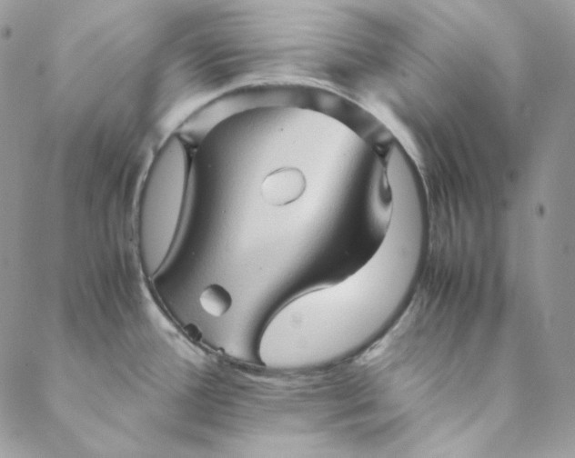 X0000088601388200706081342