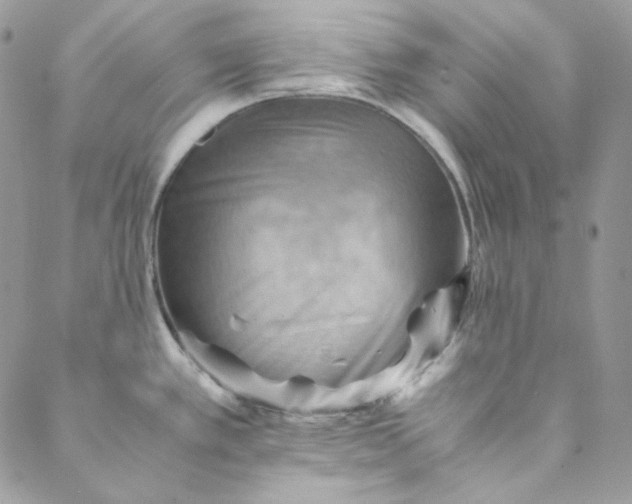 X0000088601389200706081342