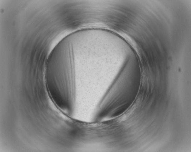 X0000088601390200706081342