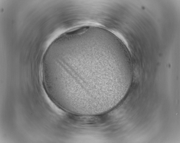 X0000088601391200706081342