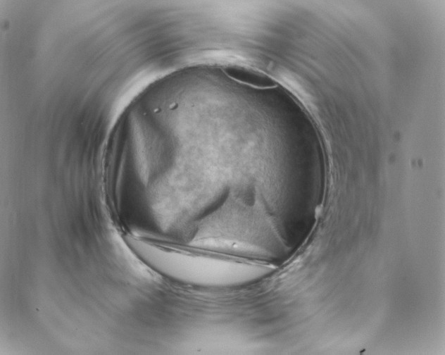 X0000088601392200706081342